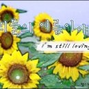 리배 이미지