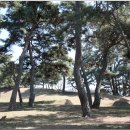 송암마을회관 옆 이미지