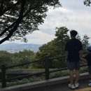 더 남산 | [남산맛집] 기념일에 딱! 전망도 뷰도 좋은 남산 더 플레이스 다이닝 후기❤️