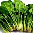 그린안경원 이미지