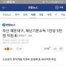 오....해운대구도 재난지원금 주는건가 이미지