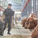 비옥한 여물농장 이미지