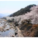 화개축산 이미지