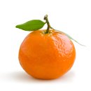 과일아재 이미지
