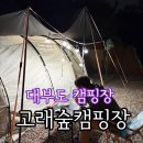 고래천국 | [캠핑14] 260418-260419 경기도 안산 대부도 고래숲캠핑장 1박 후기 키즈캠핑장 추천