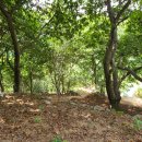 횡천면사무소 이미지