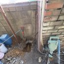 대곶자동차공업사 이미지