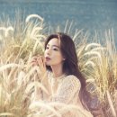 데이즈스튜디오 이미지