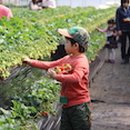 봄마취통증의학과의원 이미지