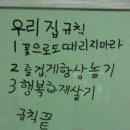 만물슈퍼경동연탄 | 우리집 규칙 : 꽃으로도 때리지마라