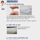 시드물) 천연치약 추천! 시드물 M 치약 플러스 리얼후기