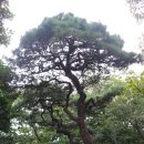 애니메이션고교 이미지