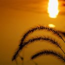 신음동네길 이미지