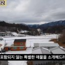 G1132 네이버블로그