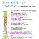 바른자세척추운동 이미지