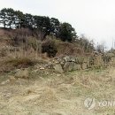 개운포성지 이미지