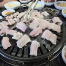 대성장어 이미지