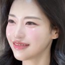 헤어 미쉘 | 웨스턴베니비스 본식 후기 / 미쉘킴 본식후기(대만족) / 헤메샵 밈 본식 후기(미친불호), 그 외 웨딩...