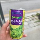 윤이불닭발천안점