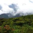 천왕봉산장앞 이미지