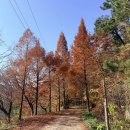 초루 | [전남/보성/득량] 보성 초루 내돈내산 후기💛