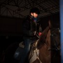 승마클럽 영풍 이미지