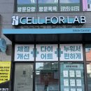대전셀포랩 바이블 림프순환·부종관리 후기｜누워서 30분, 요요없는 체형관리