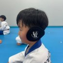 용인대멘토태권도 이미지