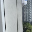 정자동 비단마을 이미지