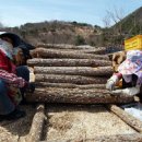 소금길 2코스 이미지