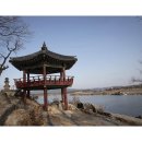 알래스카수산 티스토리