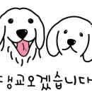 댕교오겠습니다 이미지