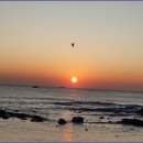 상신농장 이미지