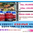 유경농장 Daum카페