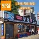묵호 맛집 도째비골 근처 묵호 횟집 물회맛집 부흥횟집