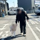 만물타이어종합수리 | 청주 건국카센터 엔진오일 교체후기, 캠핑카 수리전문점 및 대여 금액