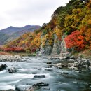 고란길(길안면) 이미지