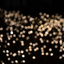 bokeh(보케)