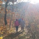 바람길여행사 이미지