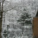 삼일산장 Daum카페