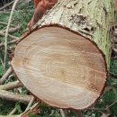 나무메디 이미지