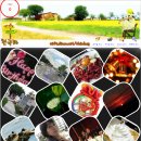 천의초등학교 이미지