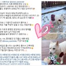 용맹한옷장