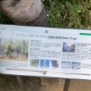 용인 가볼만한곳 한택식물원 산책하러 다녀왔어요