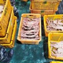 청년대게 본점 이미지