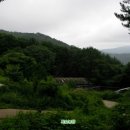 팔공사슴농장 이미지