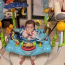 어라운드맘스 | 디즈니 니모 액티비티 점퍼루 쏘서 당근으로 사용 후기