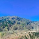 산촌관광농원