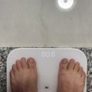 복싱클랜GYM 이미지