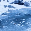 피다(Pida) 이미지